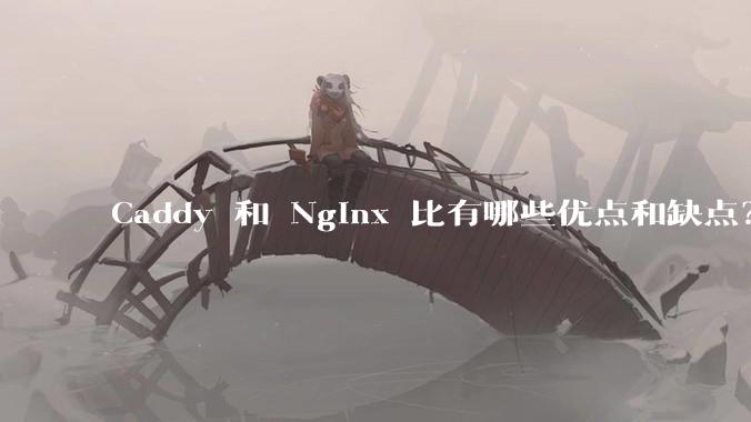 Caddy 和 Nginx 比有哪些优点和缺点？