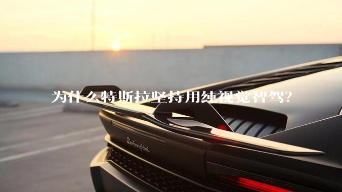 为什么特斯拉坚持用纯视觉智驾？