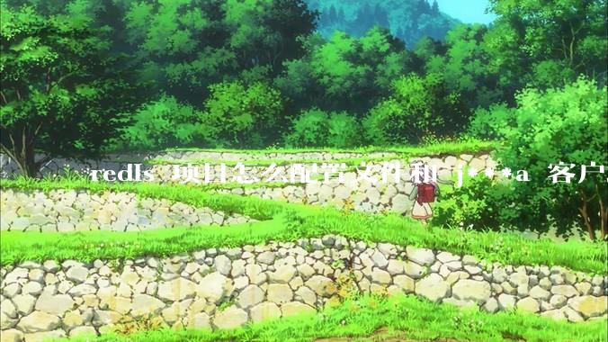 redis 项目怎么配置文件和 j***a 客户端连接？